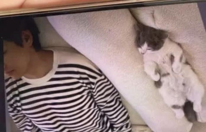 Jennie V’s private intimate bed photos are exposed! The evidence of the two people’s love is +1, and even the “Lisa mobile phone private photos” are all leaked out!